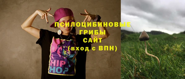 спиды Заволжск